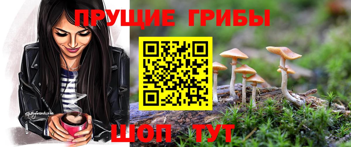 Галлюциногенные грибы MAGIC MUSHROOMS  Вход с VPN  Нижнекамск 