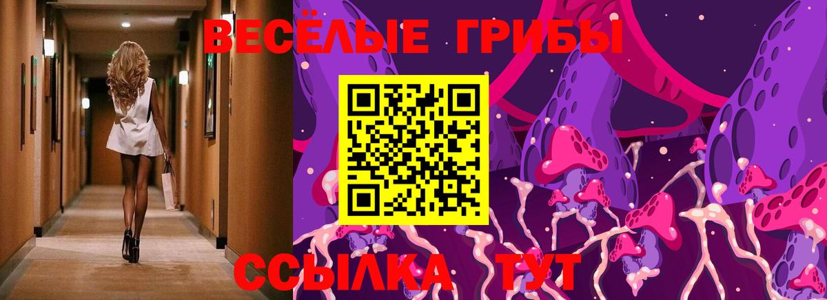 Псилоцибиновые грибы прущие грибы Нижнекамск